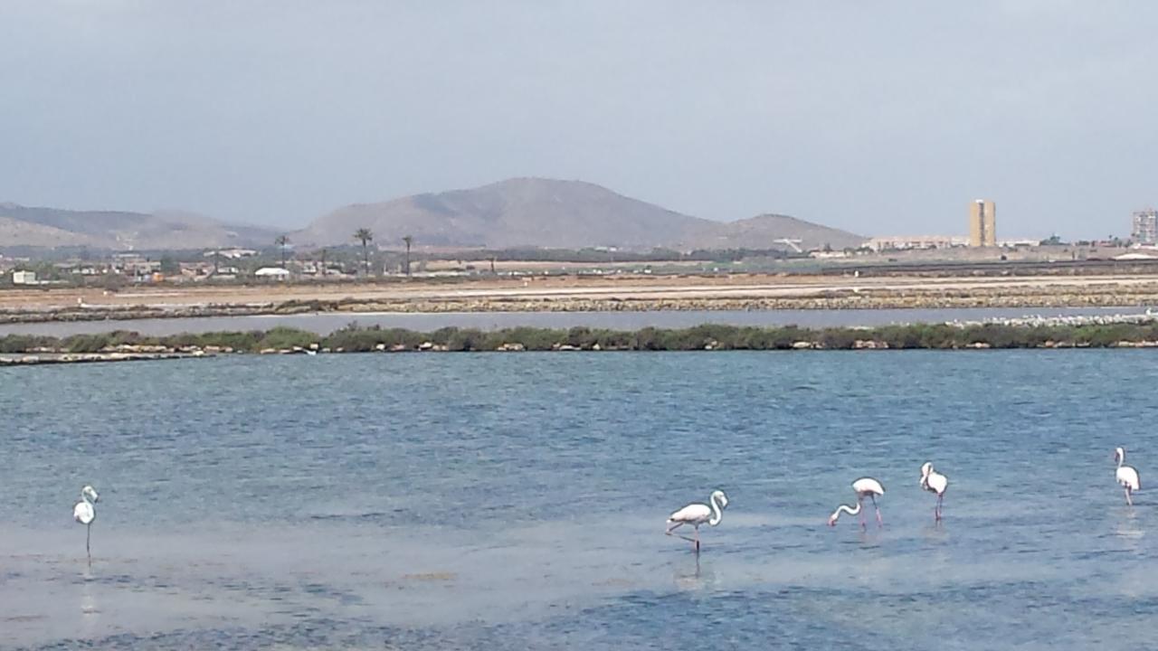Apartment Inmovecos Alisios 329