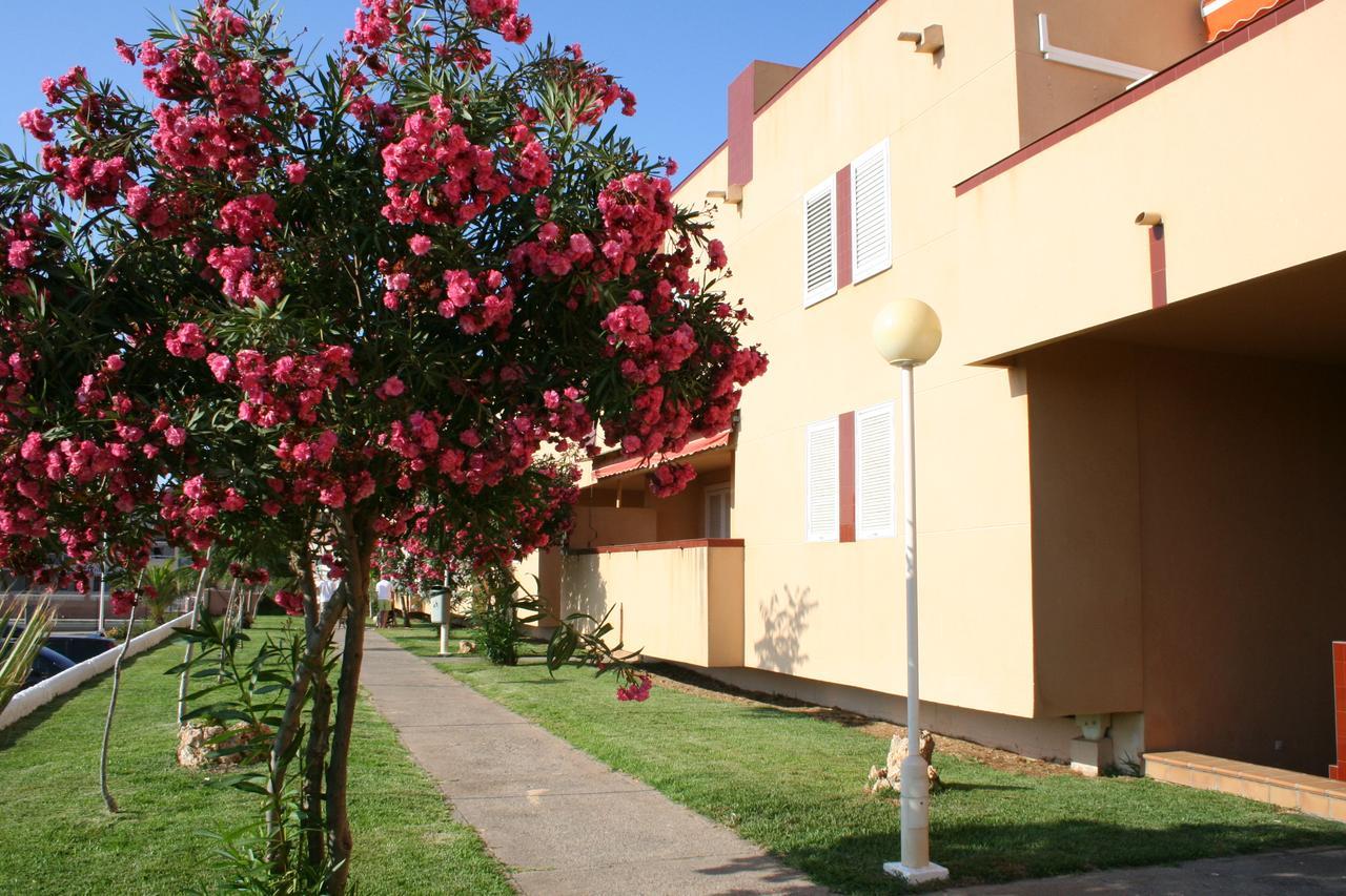 Inmovecos Alisios 329 Apartment *